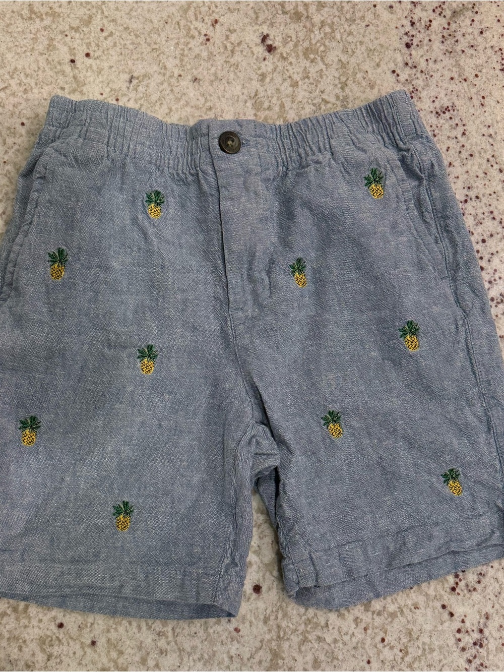 Janie and Jack Light Blue Chambray Pineapple Embroidered Shorts